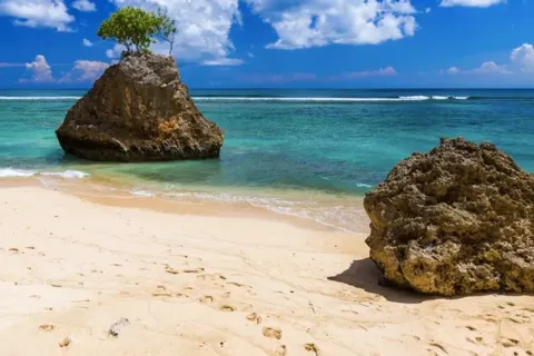 Berbagai Pilihan Travel di Bali Menyediakan Paket Wisata Lengkap